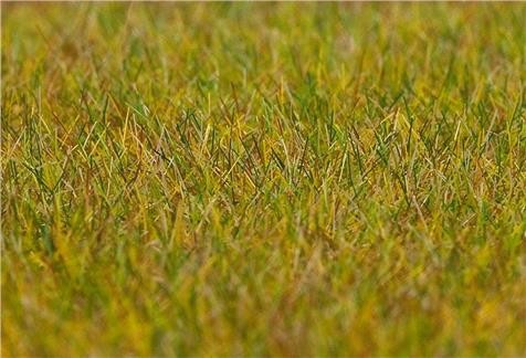 Faller 01.180484 PREM Streufasern, 30 g, Wiese, lang