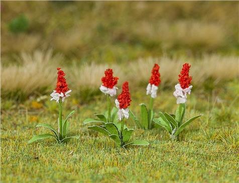 Faller 01.181267 32 Orchideenprimel