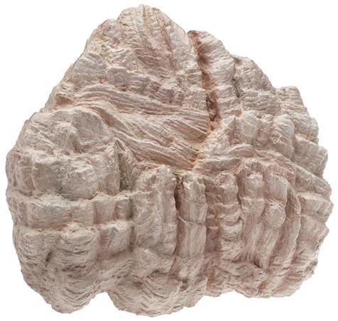 Faller 01.171806 Felsrohling Dolomit