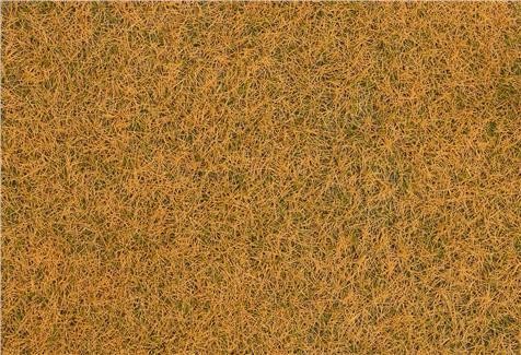 Faller 01.170235 Streufasern Wildgras, verdorrt, 4 mm , 80 g